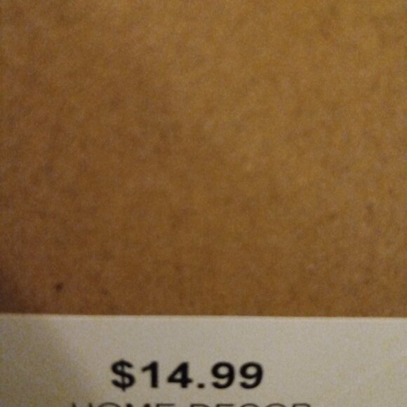 Golden Retriever Dog with Headset Framed Wall Art 🐾 - Picture 4 of 6